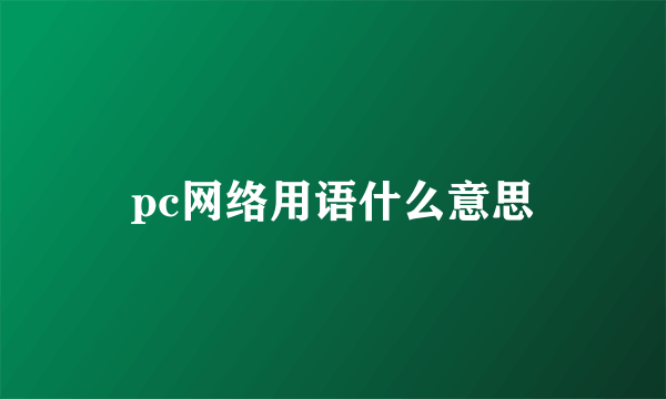 pc网络用语什么意思