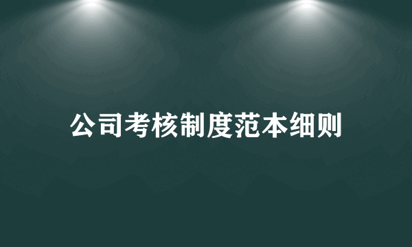 公司考核制度范本细则