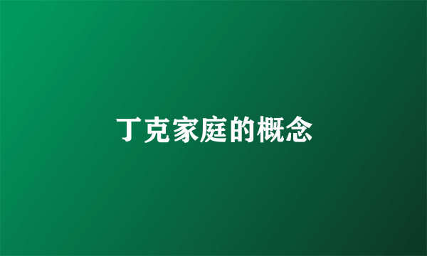 丁克家庭的概念