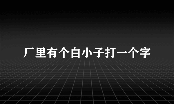 厂里有个白小子打一个字
