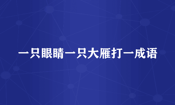 一只眼睛一只大雁打一成语
