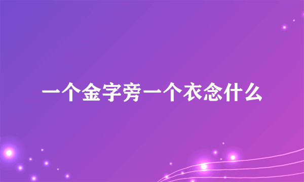 一个金字旁一个衣念什么