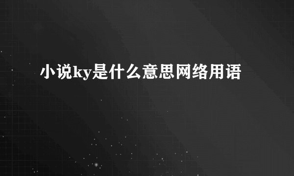小说ky是什么意思网络用语