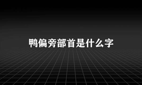鸭偏旁部首是什么字