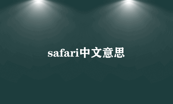 safari中文意思