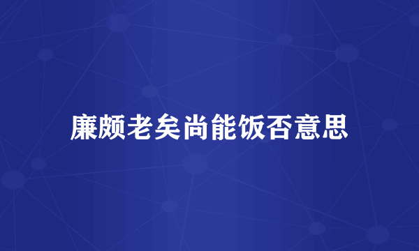 廉颇老矣尚能饭否意思