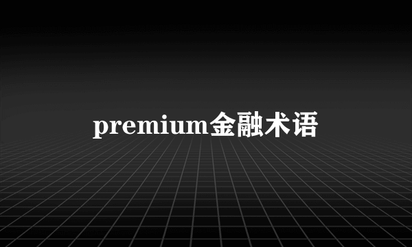 premium金融术语