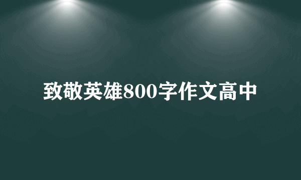 致敬英雄800字作文高中