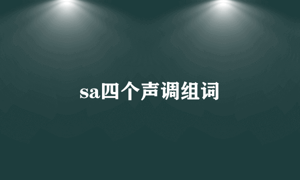 sa四个声调组词
