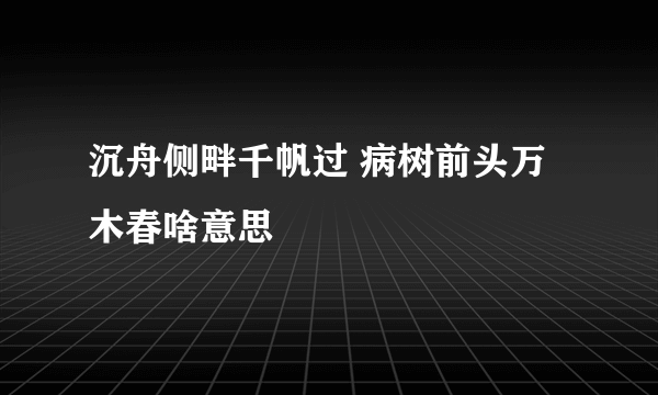 沉舟侧畔千帆过 病树前头万木春啥意思