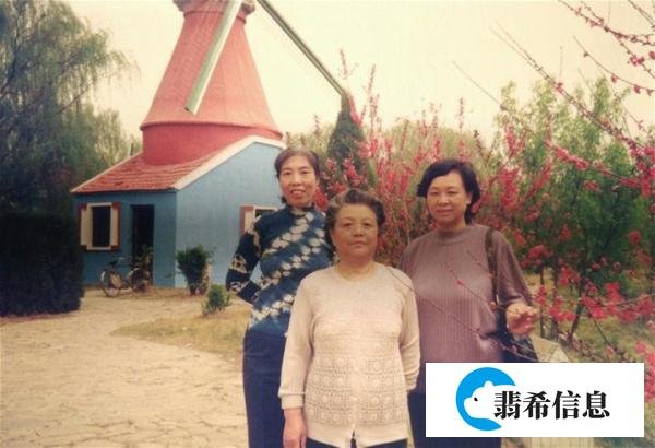 上小学的儿子去“杨村小世界”游玩。家庭60.