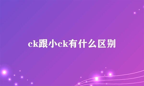 ck跟小ck有什么区别