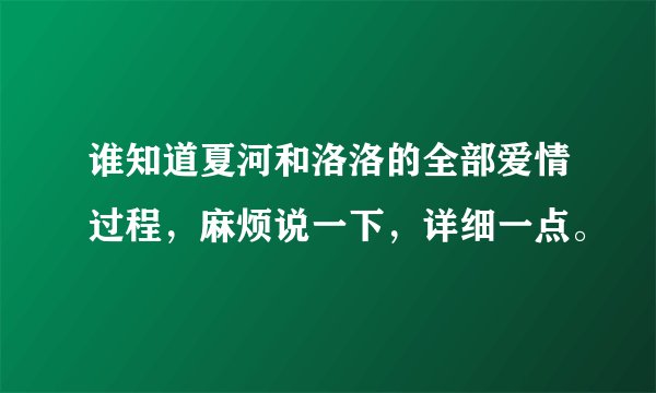 谁知道夏河和洛洛的全部爱情过程，麻烦说一下，详细一点。