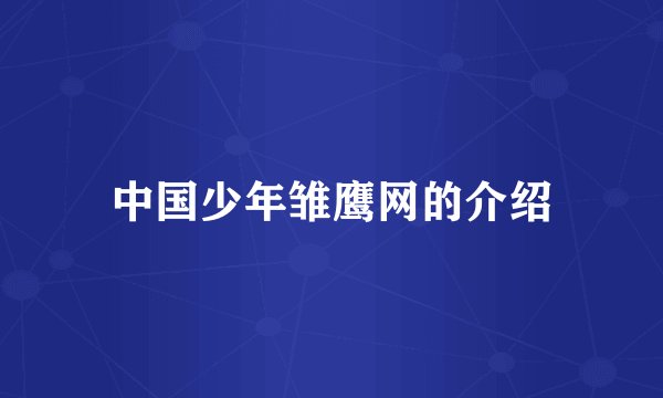 中国少年雏鹰网的介绍
