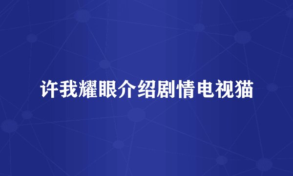 许我耀眼介绍剧情电视猫