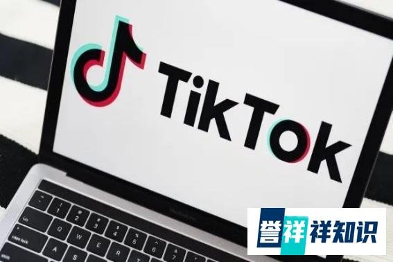 tiktok国内用不了为什么？