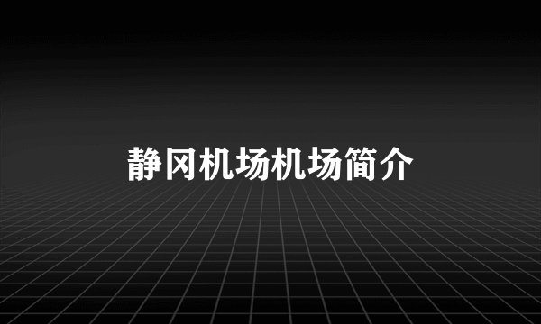 静冈机场机场简介