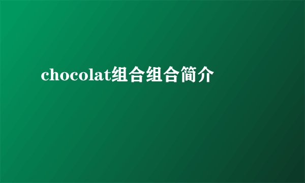 chocolat组合组合简介