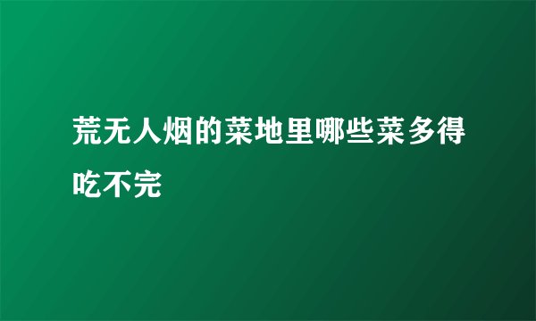 荒无人烟的菜地里哪些菜多得吃不完