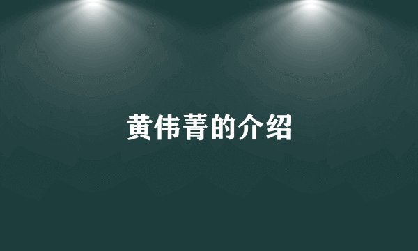 黄伟菁的介绍