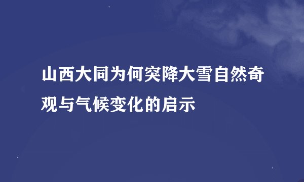山西大同为何突降大雪自然奇观与气候变化的启示