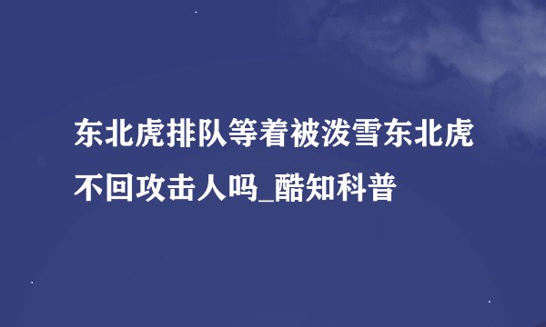 东北虎排队等着被泼雪东北虎不回攻击人吗_酷知科普