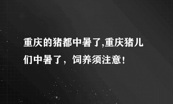 重庆的猪都中暑了,重庆猪儿们中暑了，饲养须注意！