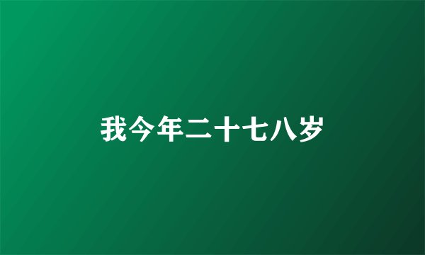 我今年二十七八岁