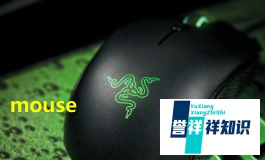 英语mouse中文是什么意思