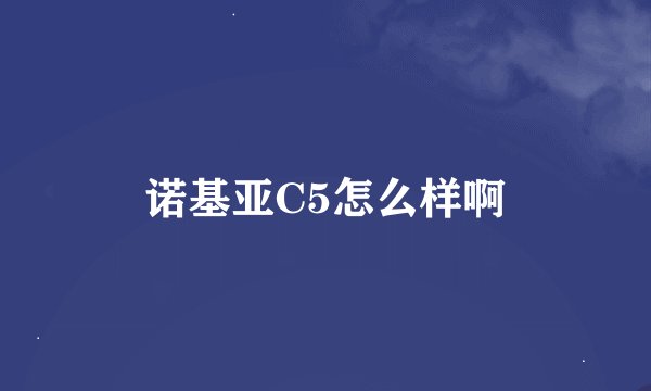 诺基亚C5怎么样啊