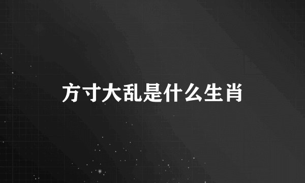 方寸大乱是什么生肖