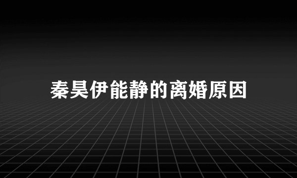 秦昊伊能静的离婚原因