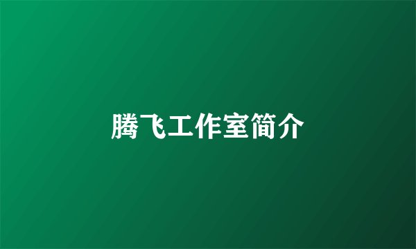 腾飞工作室简介