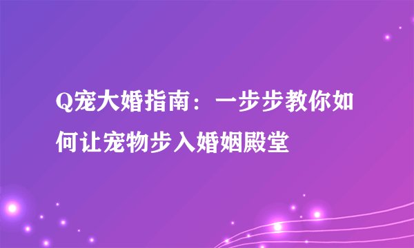 Q宠大婚指南：一步步教你如何让宠物步入婚姻殿堂