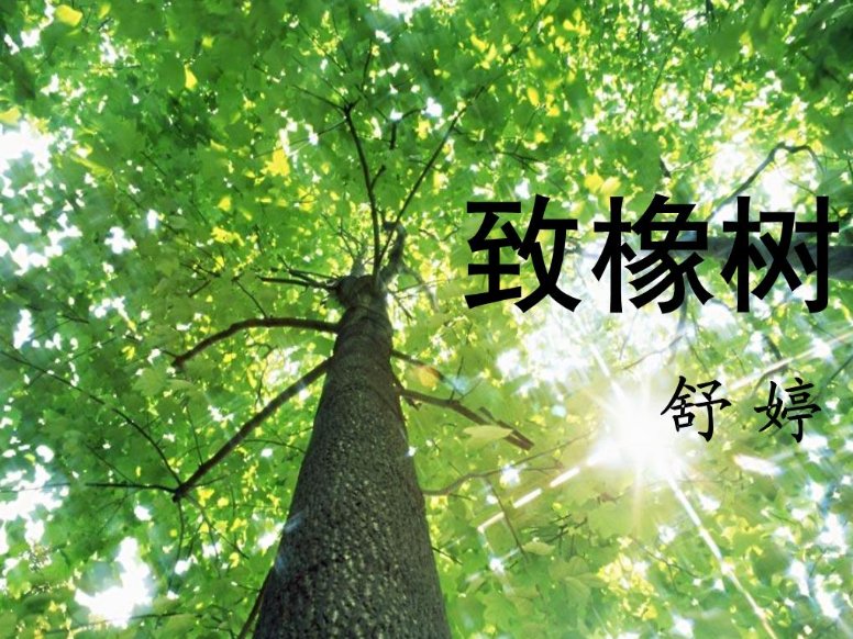 有关于植物的现代诗有哪些?
