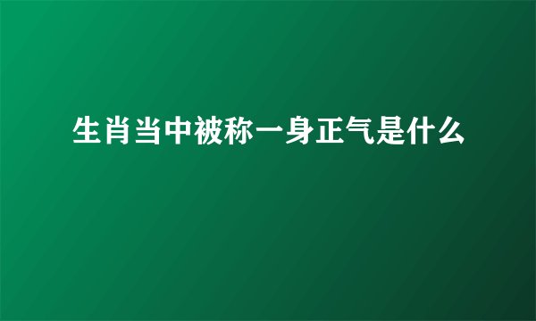生肖当中被称一身正气是什么