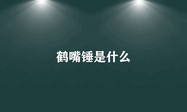 鹤嘴锤是什么