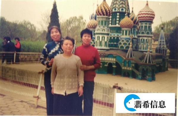 上小学的儿子去“杨村小世界”游玩。家庭60.