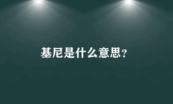 基尼是什么意思？