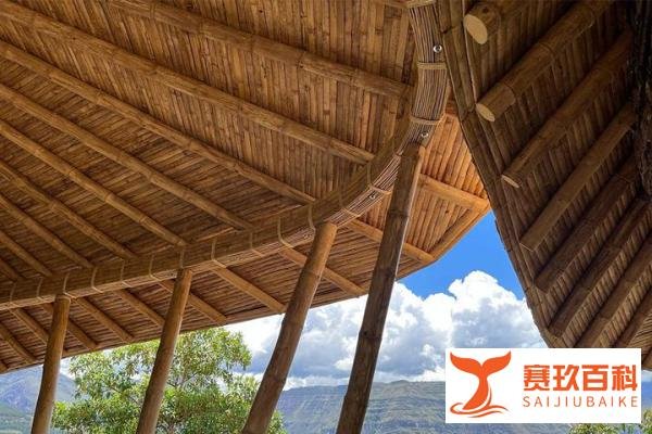 经常看到有人搜索石竹小屋这个词？竹屋 竹建筑 竹结构