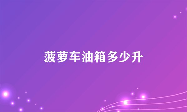 菠萝车油箱多少升