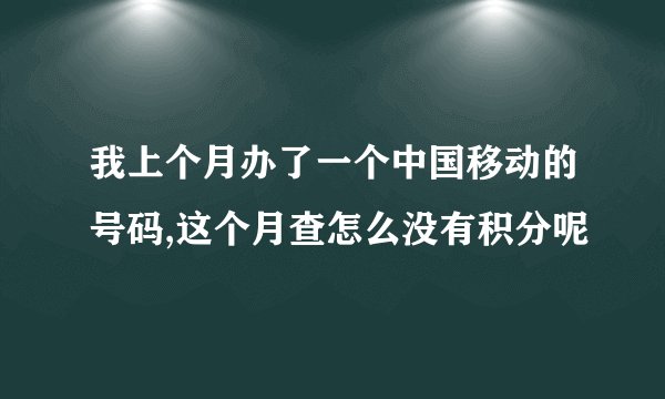 我上个月办了一个中国移动的号码,这个月查怎么没有积分呢