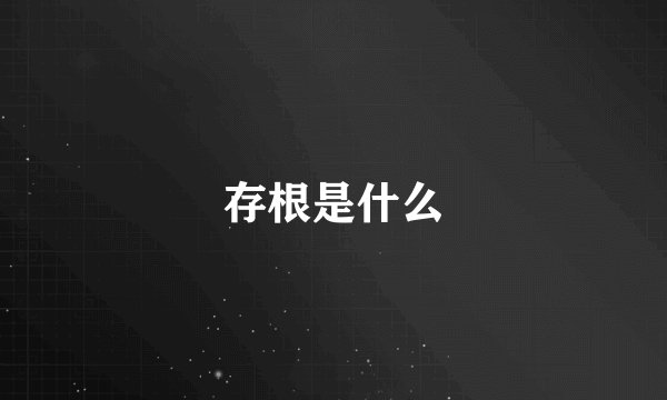 存根是什么