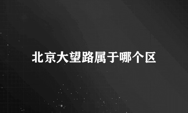 北京大望路属于哪个区