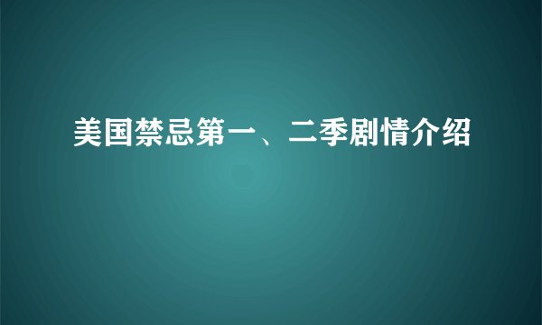 美国禁忌第一、二季剧情介绍