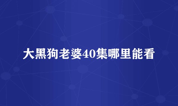 大黑狗老婆40集哪里能看