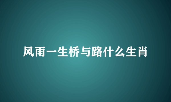风雨一生桥与路什么生肖