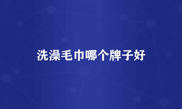 洗澡毛巾哪个牌子好