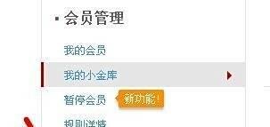 怎么查看迅雷消费记录