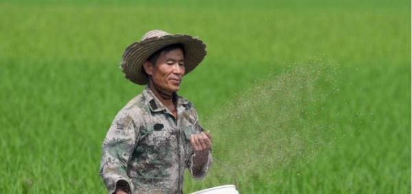 芒种,夏收夏种正当时 | 图瞰风云